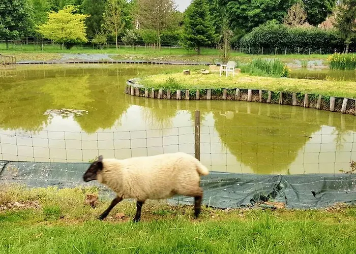 Maison De Charme A Avec Barbecue Et Parking * Gacé